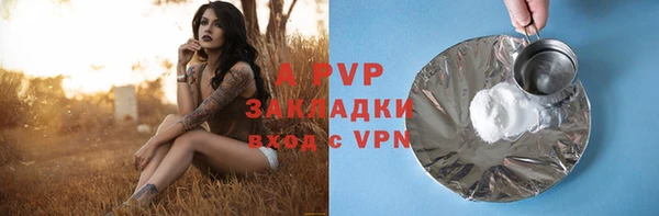 сатива Михайлов