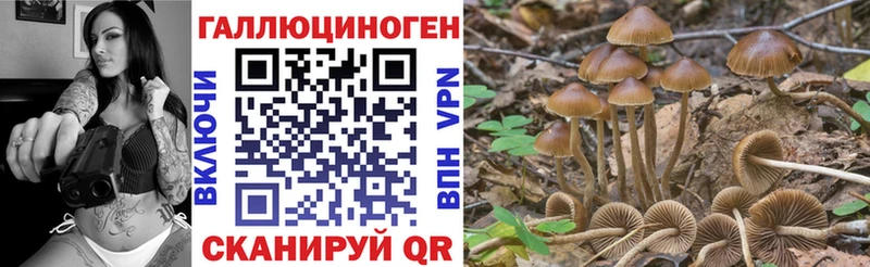 цена Великий Новгород Псилоцибиновые грибы ЛСД