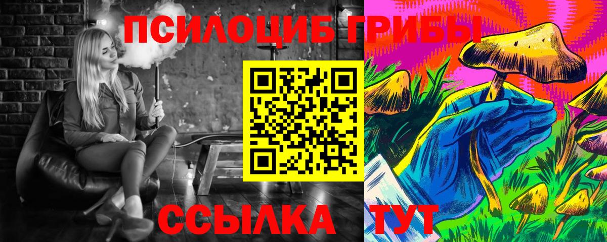 Великий Новгород  Псилоцибиновые грибы GOLDEN TEACHER  Вход с VPN  Псилоцибиновые грибы GOLDEN TEACHER 
