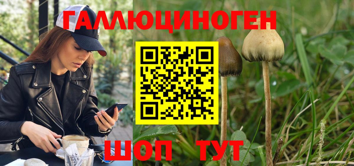 Псилоцибиновые грибы MAGIC MUSHROOMS Великий Новгород