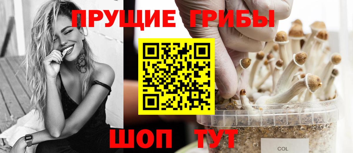Галлюциногенные грибы мухоморы Великий Новгород